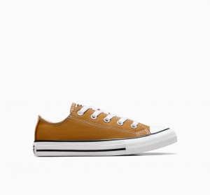 Converse Chuck Taylor All Star Excess Materials Azul Claro Branco Pretas | 8096-MSLJR