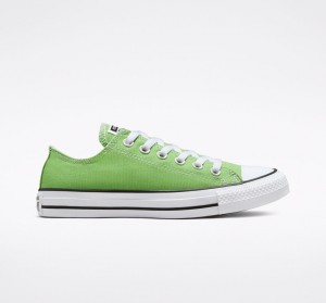 Converse Chuck Taylor All Star Seasonal Color Virtual Matcha | 5720-UTZHG