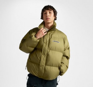 Converse Super Puffer Acolchoado Jacket Cosmic Turtle | 8407-ESTDZ