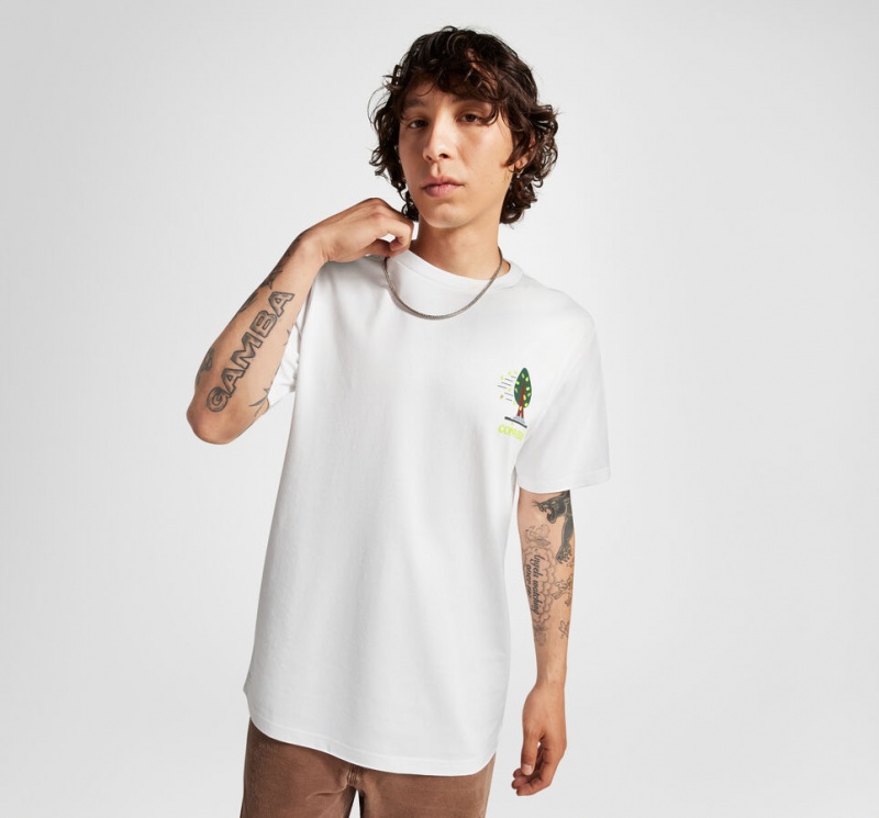 Converse All Star Tree T-shirt Branco | 3405-RZCOF