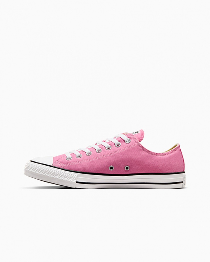 Converse Chuck Taylor All Star Rosa | 1532-HGKEN