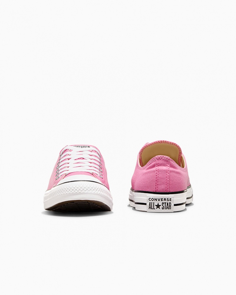 Converse Chuck Taylor All Star Rosa | 1532-HGKEN