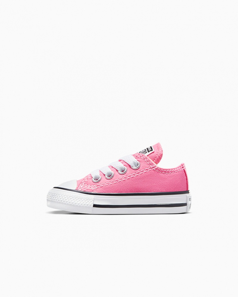 Converse Chuck Taylor All Star Rosa | 2318-XFGVE