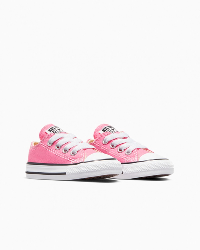 Converse Chuck Taylor All Star Rosa | 2318-XFGVE