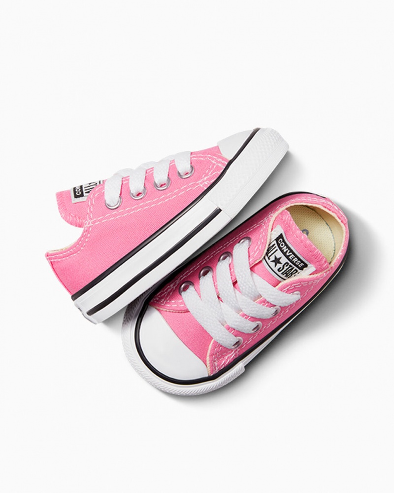 Converse Chuck Taylor All Star Rosa | 2318-XFGVE