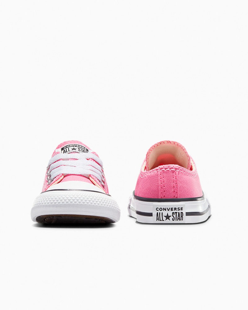 Converse Chuck Taylor All Star Rosa | 2318-XFGVE