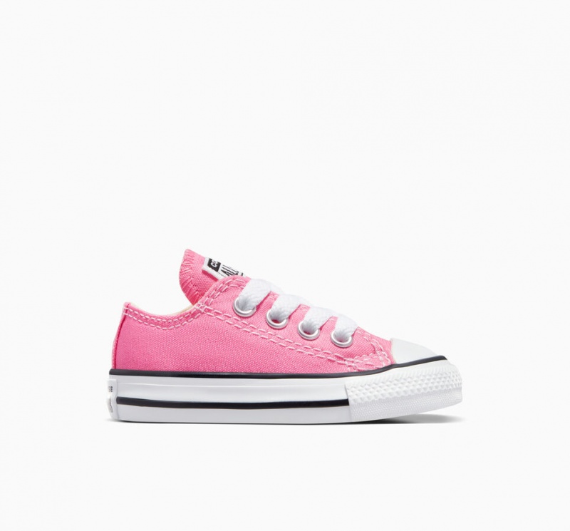 Converse Chuck Taylor All Star Rosa | 2318-XFGVE