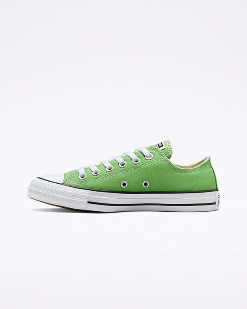 Converse Chuck Taylor All Star Seasonal Color Virtual Matcha | 8234-NBUCP