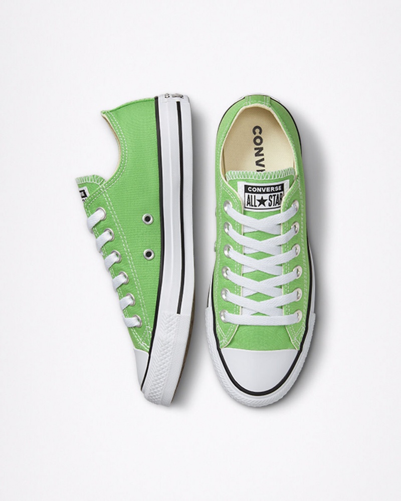 Converse Chuck Taylor All Star Seasonal Color Virtual Matcha | 8234-NBUCP