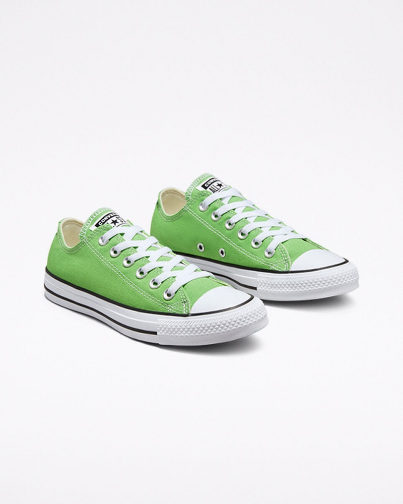 Converse Chuck Taylor All Star Seasonal Color Virtual Matcha | 8234-NBUCP