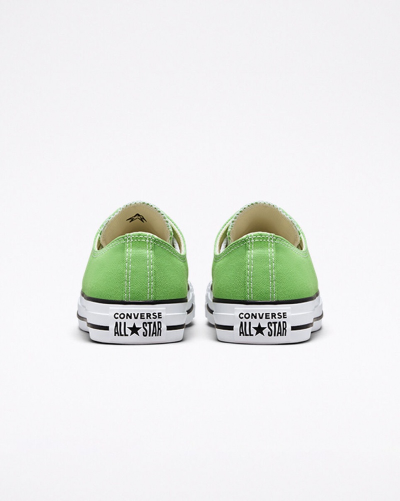 Converse Chuck Taylor All Star Seasonal Color Virtual Matcha | 8234-NBUCP