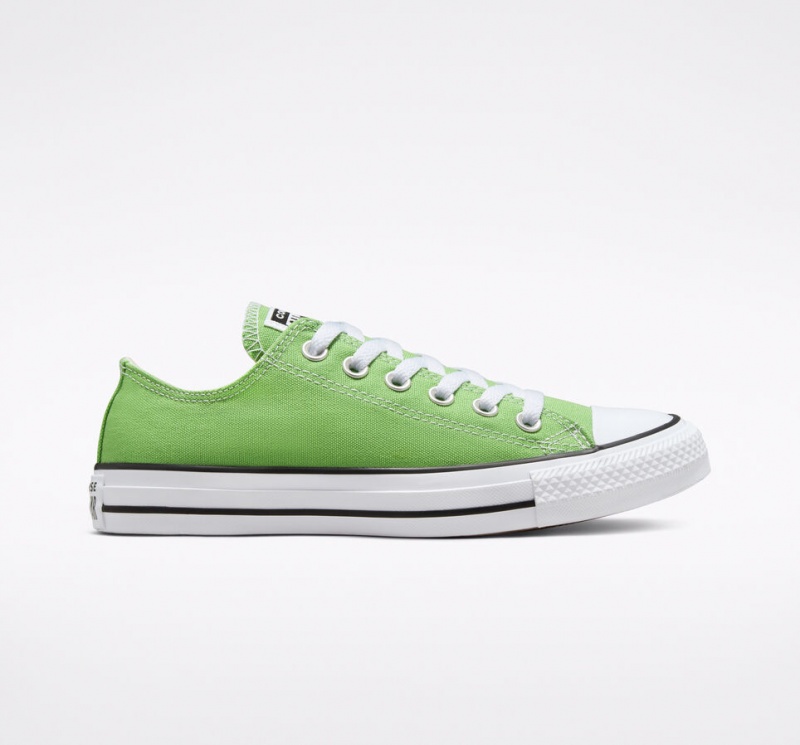 Converse Chuck Taylor All Star Seasonal Color Virtual Matcha | 8234-NBUCP